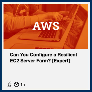 AWS Hands on Labs Challenge